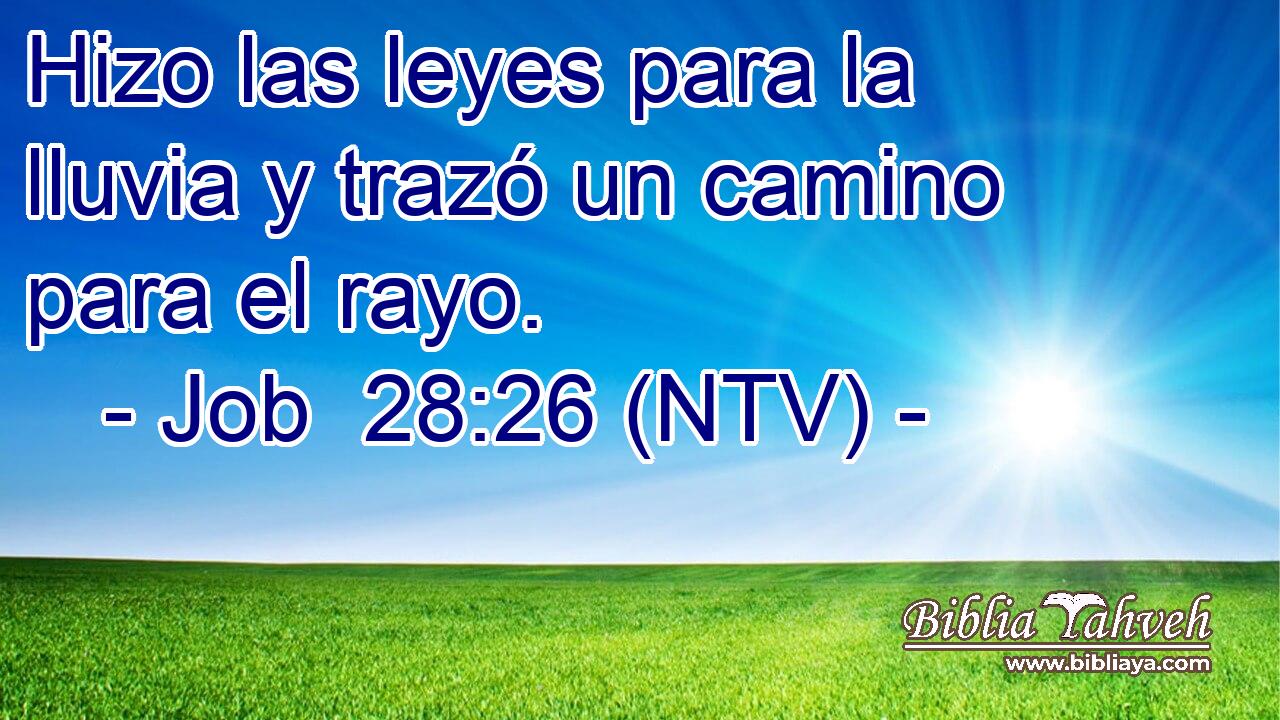 Hizo las leyes para la lluvia y trazó un camino para el rayo.