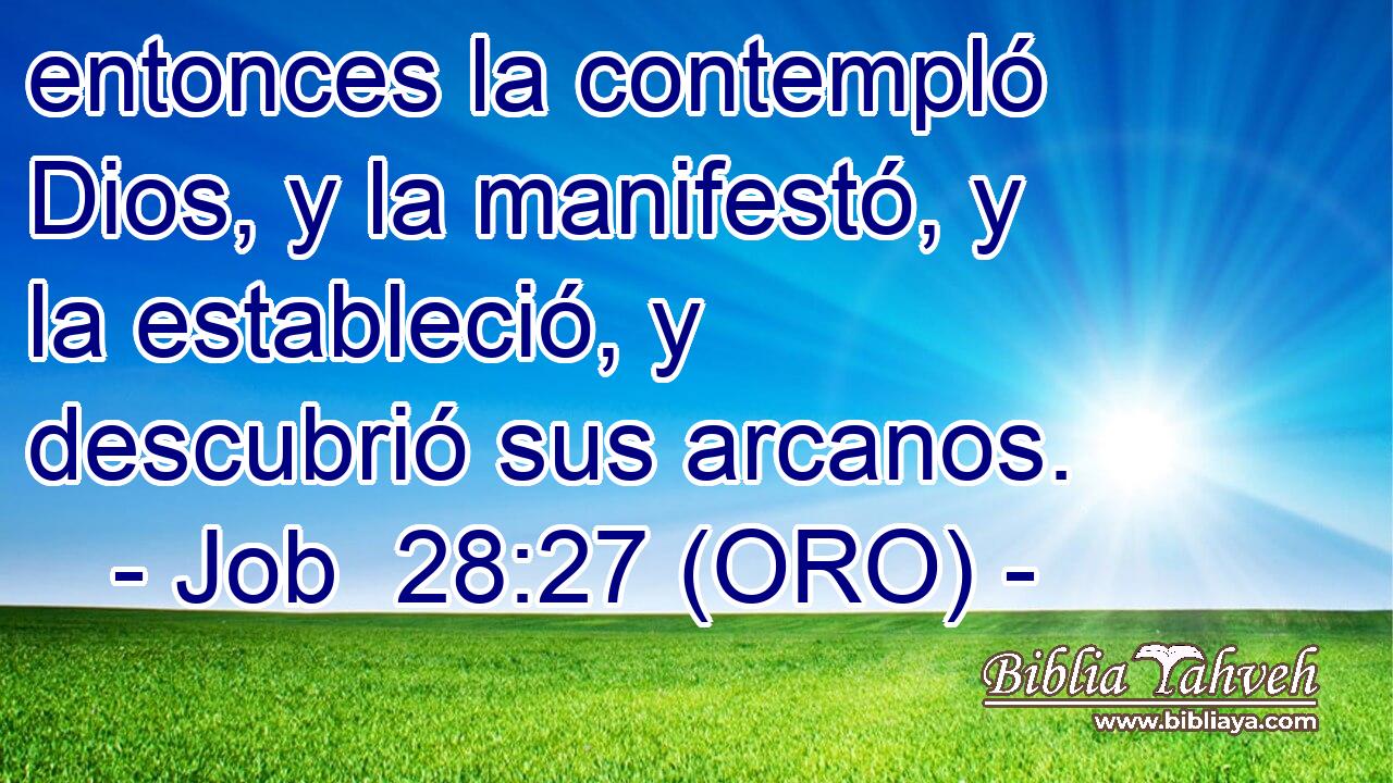  entonces la contempló Dios, y la manifestó, y la estableció, y descubrió sus arcanos. 