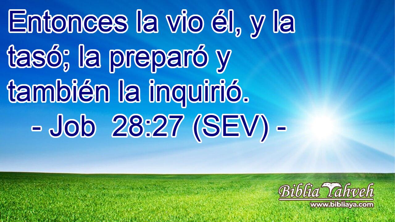 Entonces la vio él, y la tasó; la preparó y también la inquirió.