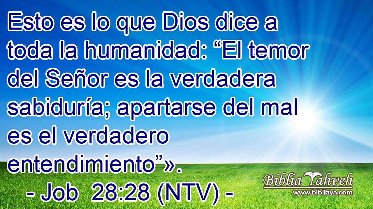 Esto es lo que Dios dice a toda la humanidad: “El temor del Señor es la verdadera sabiduría; apartarse del mal es el verdadero entendimiento”».