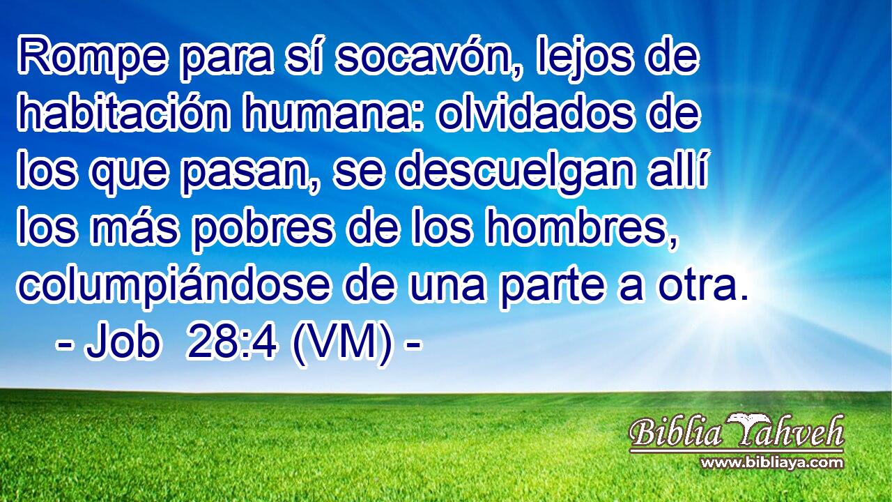  Rompe para sí socavón, lejos de habitación humana: olvidados de los que pasan, se descuelgan allí los más pobres de los hombres, columpiándose de una parte a otra. 