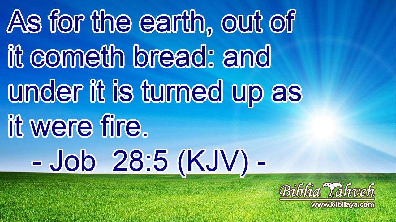 As for the earth, out of it cometh bread: and under it is turned up as it were fire.