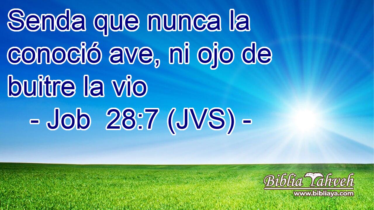 Senda que nunca la conoció ave, ni ojo de buitre la vio