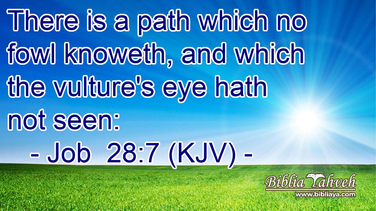 There is a path which no fowl knoweth, and which the vulture's eye hath not seen: