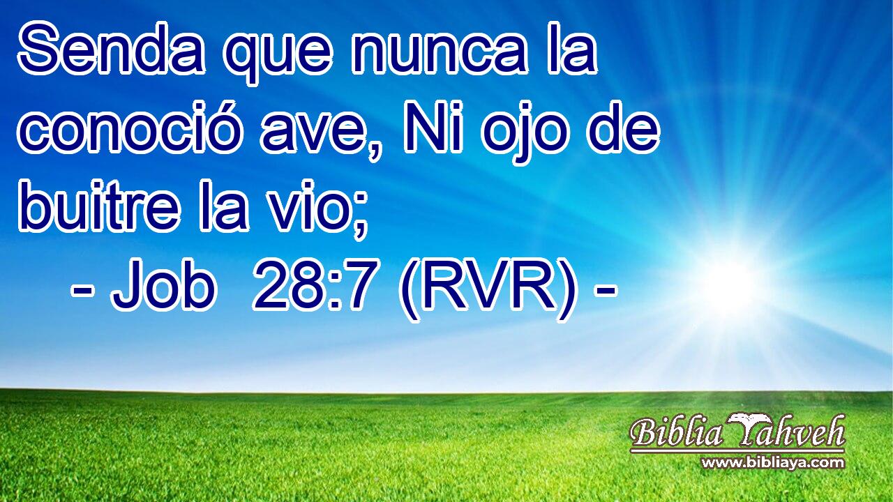 Senda que nunca la conoció ave, Ni ojo de buitre la vio;