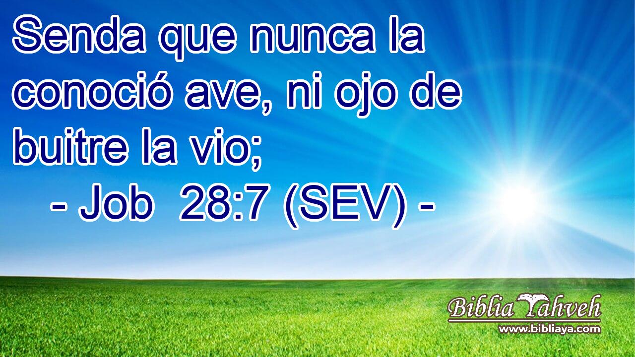 Senda que nunca la conoció ave, ni ojo de buitre la vio;