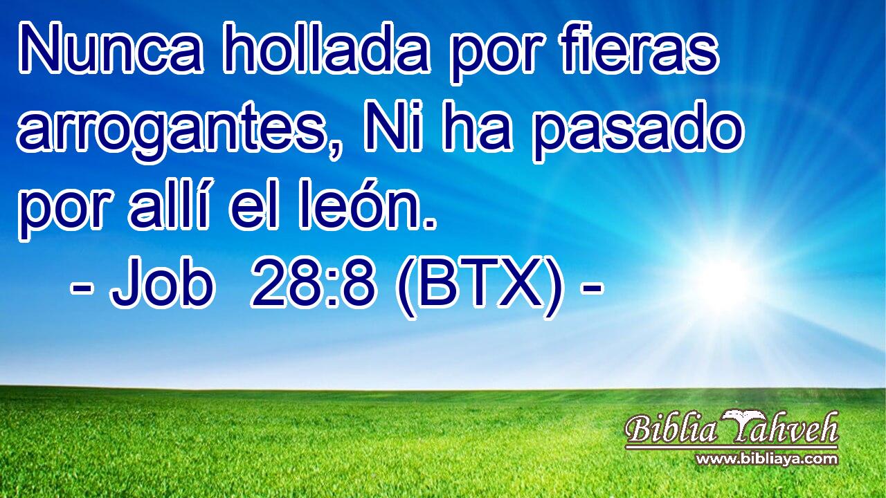 Nunca hollada por fieras arrogantes, Ni ha pasado por allí el león.