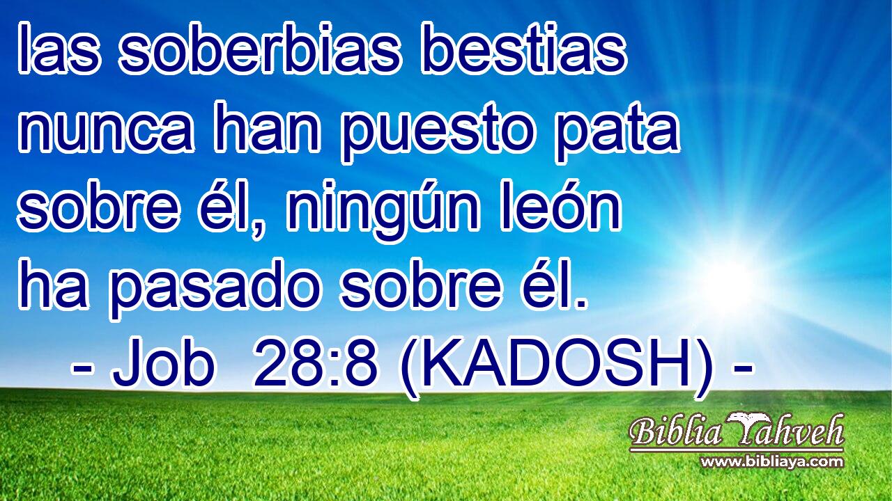  las soberbias bestias nunca han puesto pata sobre él, ningún león ha pasado sobre él. 