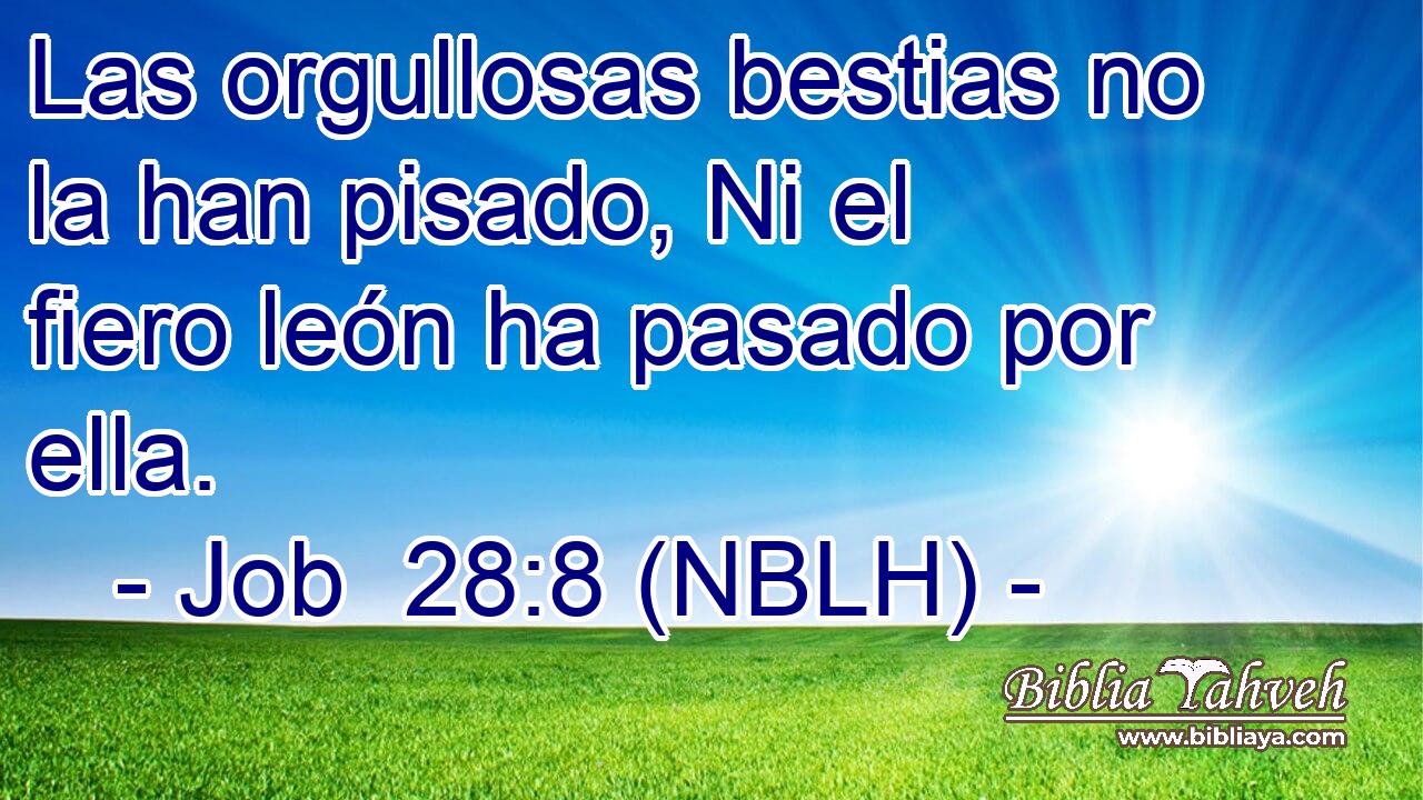 Las orgullosas bestias no la han pisado, Ni el fiero león ha pasado por ella. 