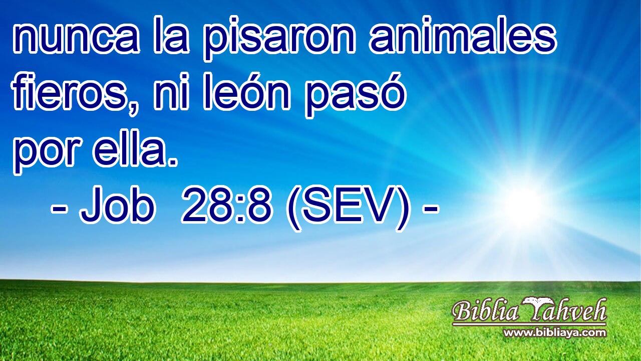 nunca la pisaron animales fieros, ni león pasó por ella.