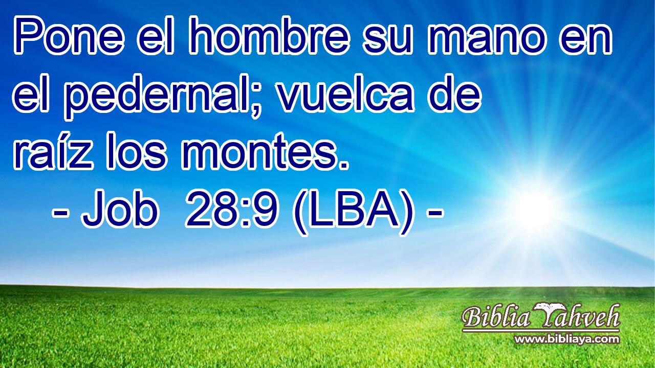 Pone el hombre su mano en el pedernal; vuelca de raíz los montes.