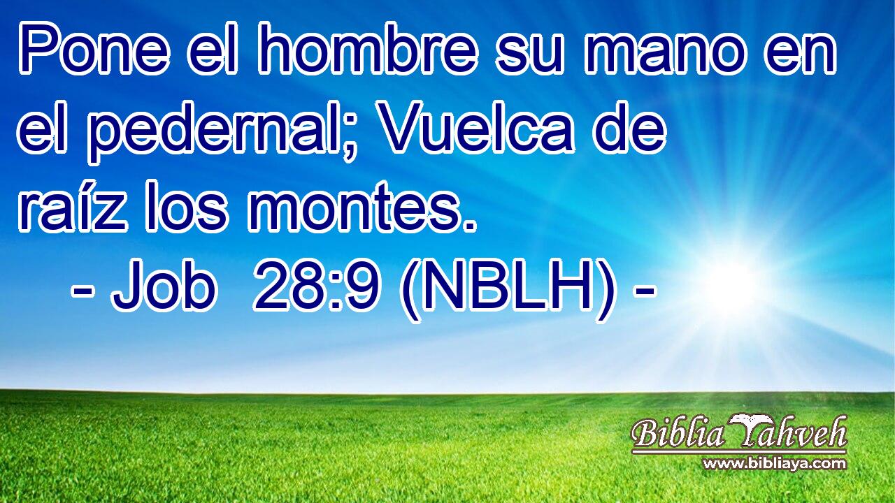  Pone el hombre su mano en el pedernal; Vuelca de raíz los montes. 