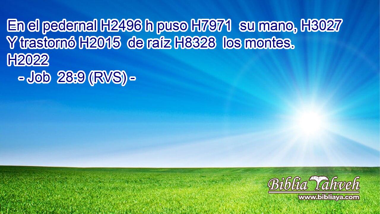 En el pedernal H2496 h puso H7971  su mano, H3027  Y trastornó H2015  de raíz H8328  los montes. H2022  