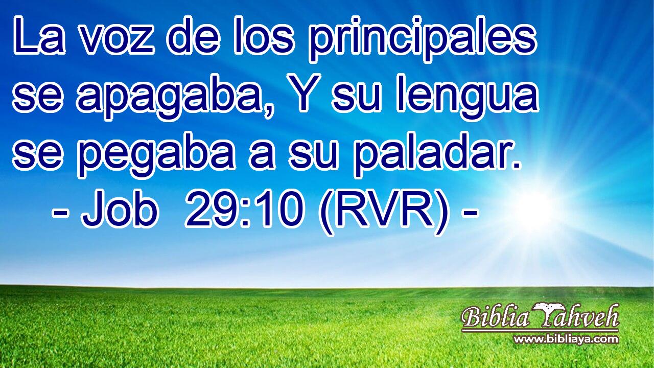 La voz de los principales se apagaba, Y su lengua se pegaba a su paladar.
