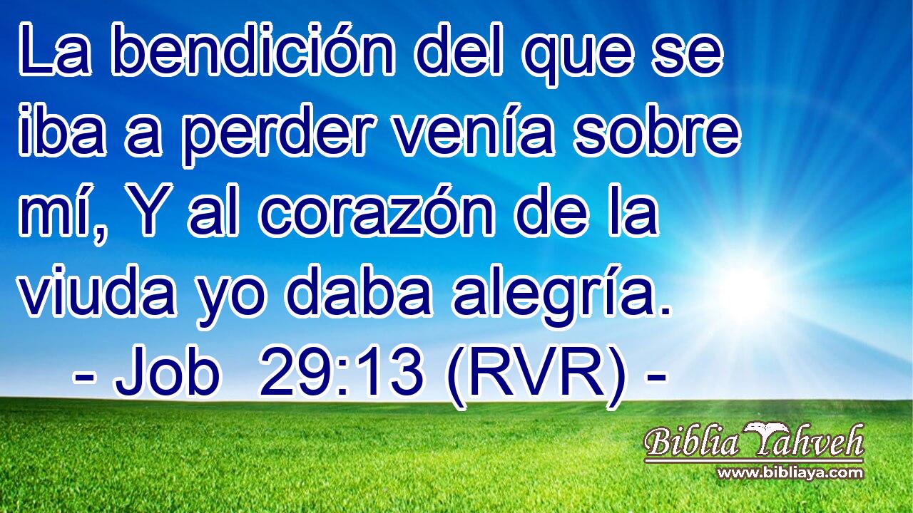 La bendición del que se iba a perder venía sobre mí, Y al corazón de la viuda yo daba alegría.