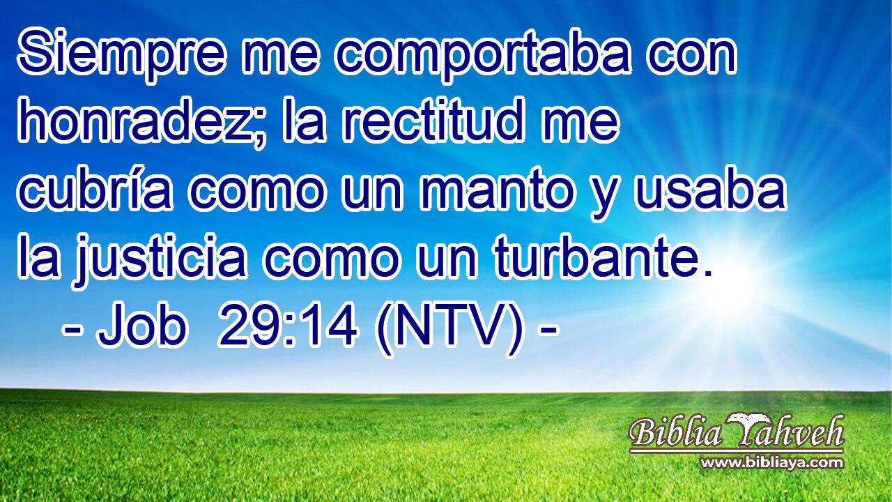 Siempre me comportaba con honradez; la rectitud me cubría como un manto y usaba la justicia como un turbante.
