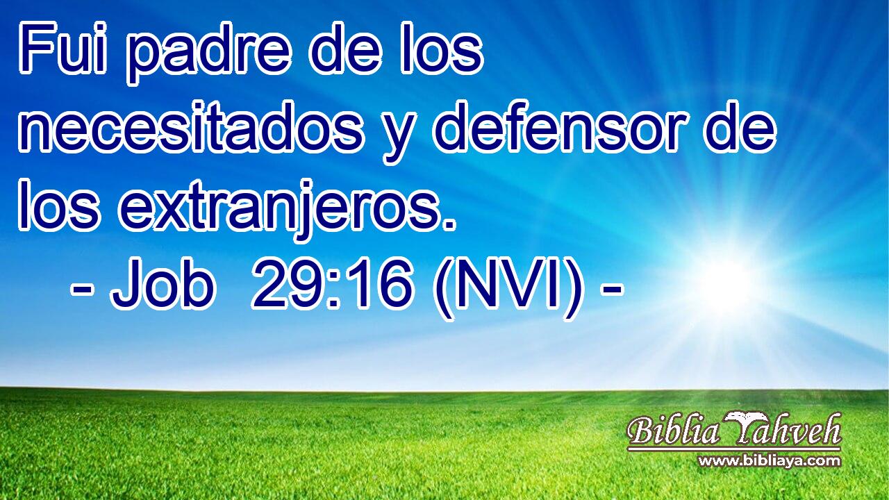  Fui padre de los necesitados y defensor de los extranjeros. 