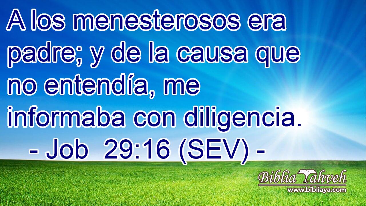 A los menesterosos era padre; y de la causa que no entendía, me informaba con diligencia.