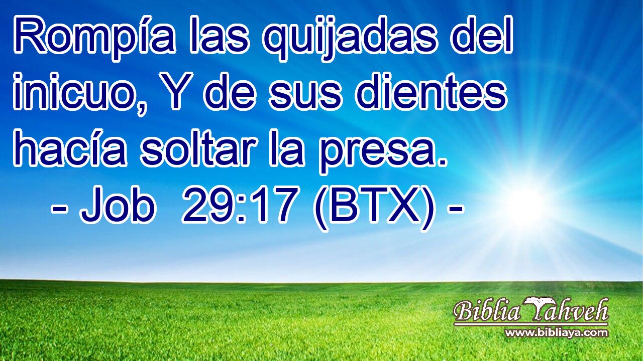 Rompía las quijadas del inicuo, Y de sus dientes hacía soltar la presa.