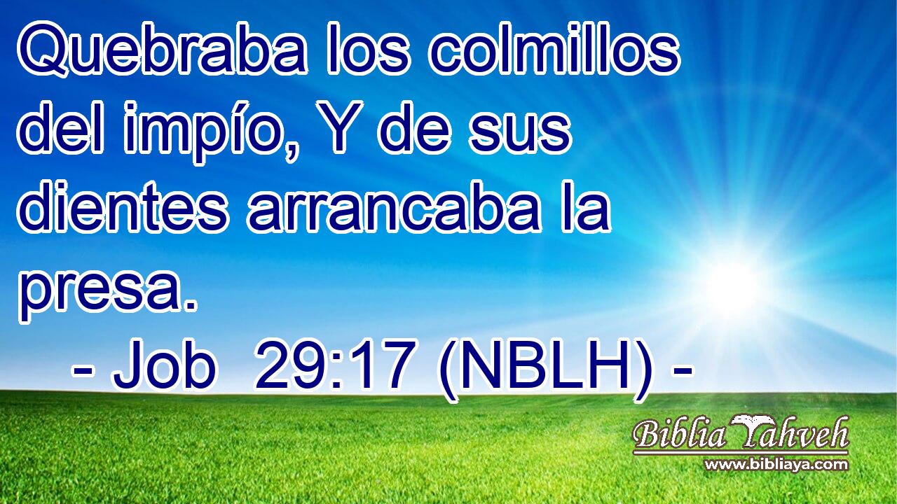  Quebraba los colmillos del impío, Y de sus dientes arrancaba la presa. 