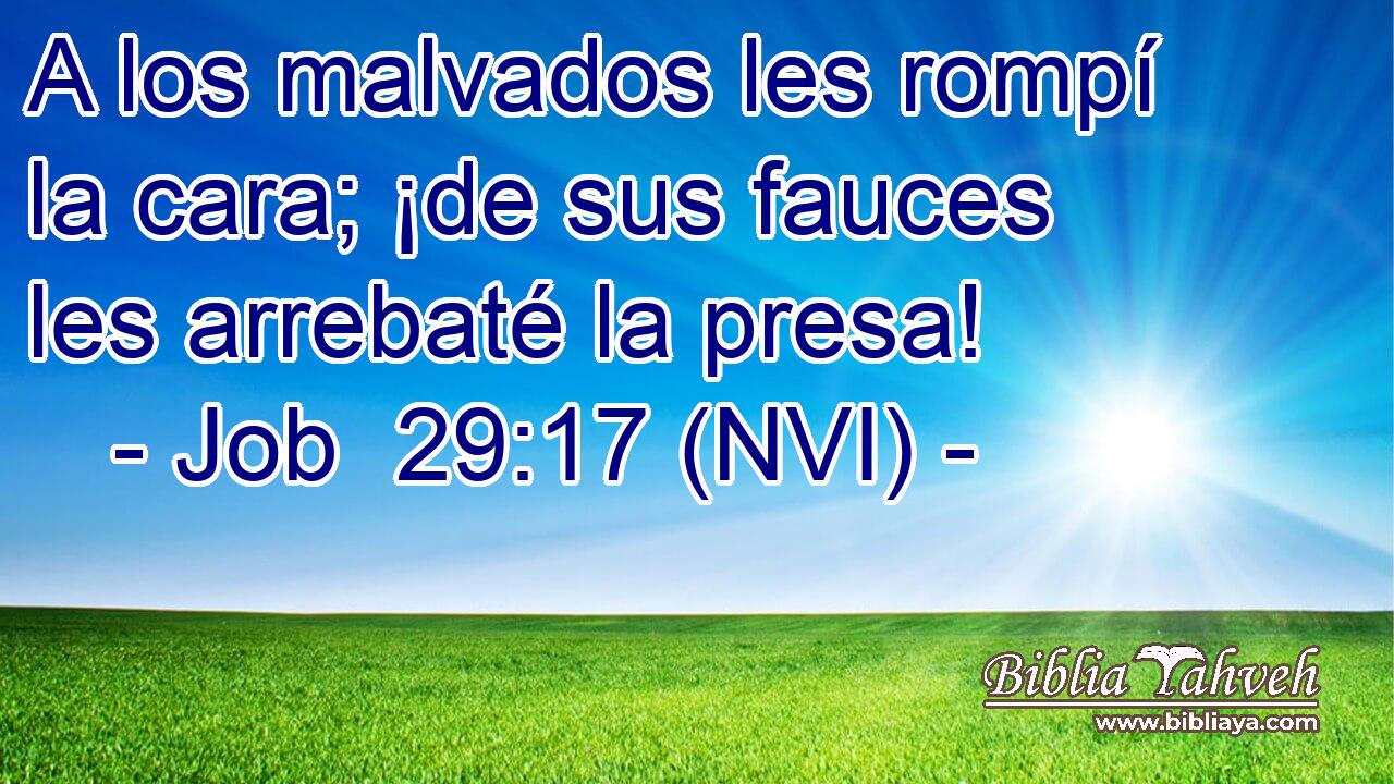  A los malvados les rompí la cara; ¡de sus fauces les arrebaté la presa! 