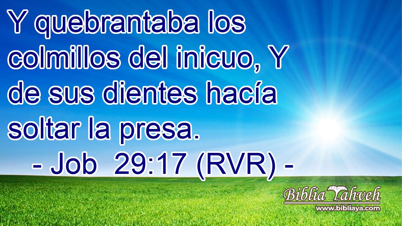 Y quebrantaba los colmillos del inicuo, Y de sus dientes hacía soltar la presa.