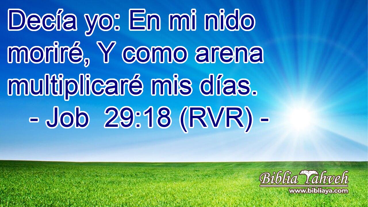 Decía yo: En mi nido moriré, Y como arena multiplicaré mis días.