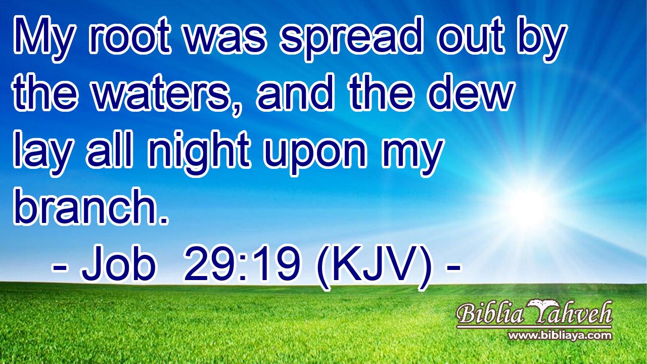 My root was spread out by the waters, and the dew lay all night upon my branch.