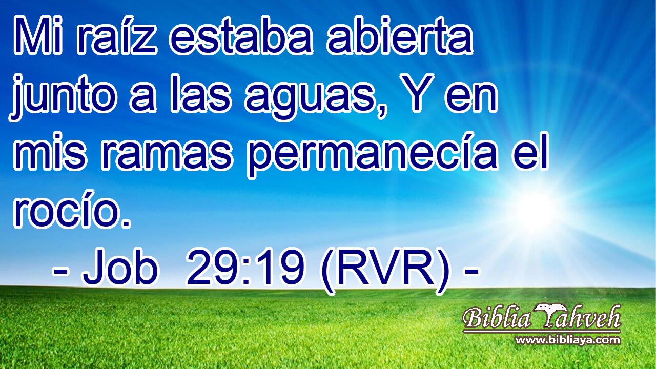 Mi raíz estaba abierta junto a las aguas, Y en mis ramas permanecía el rocío.