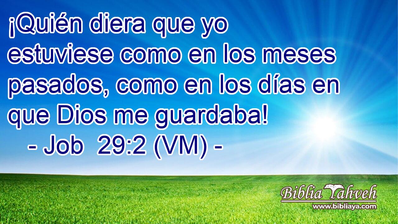  ¡Quién diera que yo estuviese como en los meses pasados, como en los días en que Dios me guardaba! 