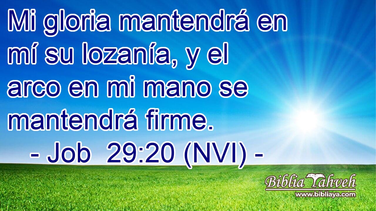  Mi gloria mantendrá en mí su lozanía, y el arco en mi mano se mantendrá firme. 