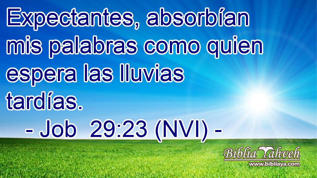  Expectantes, absorbían mis palabras como quien espera las lluvias tardías. 