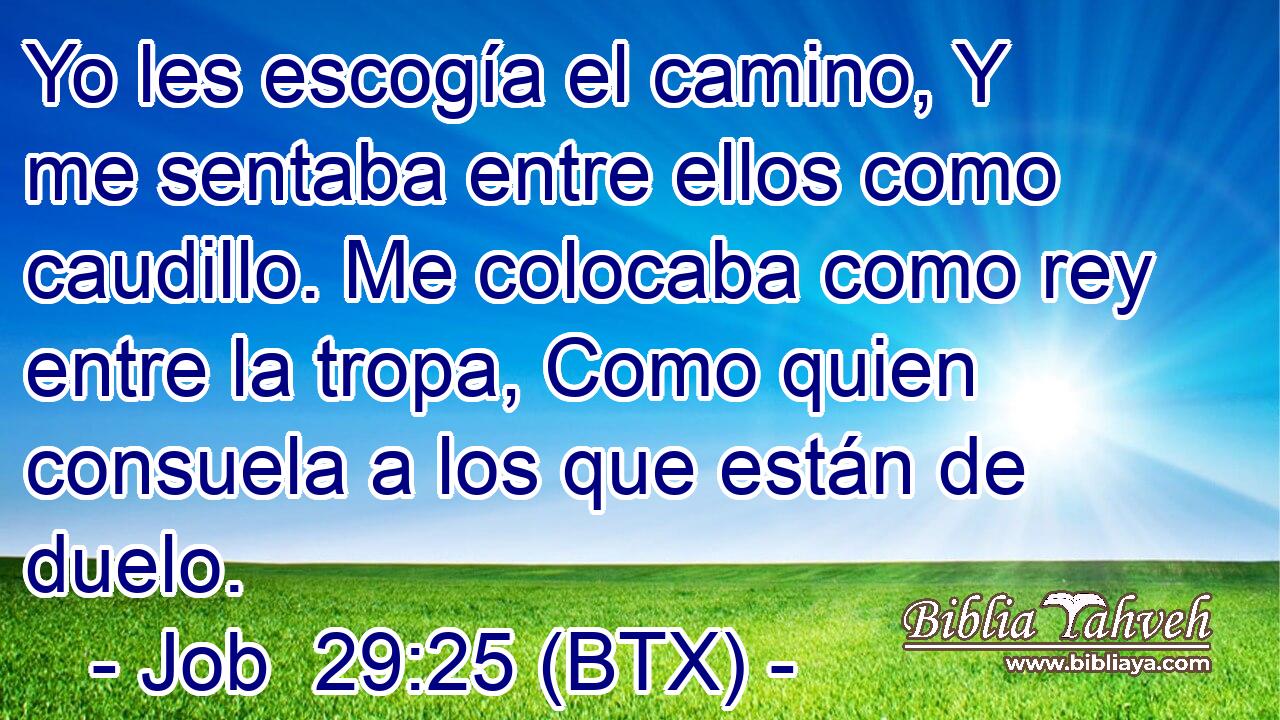Yo les escogía el camino, Y me sentaba entre ellos como caudillo. Me colocaba como rey entre la tropa, Como quien consuela a los que están de duelo.