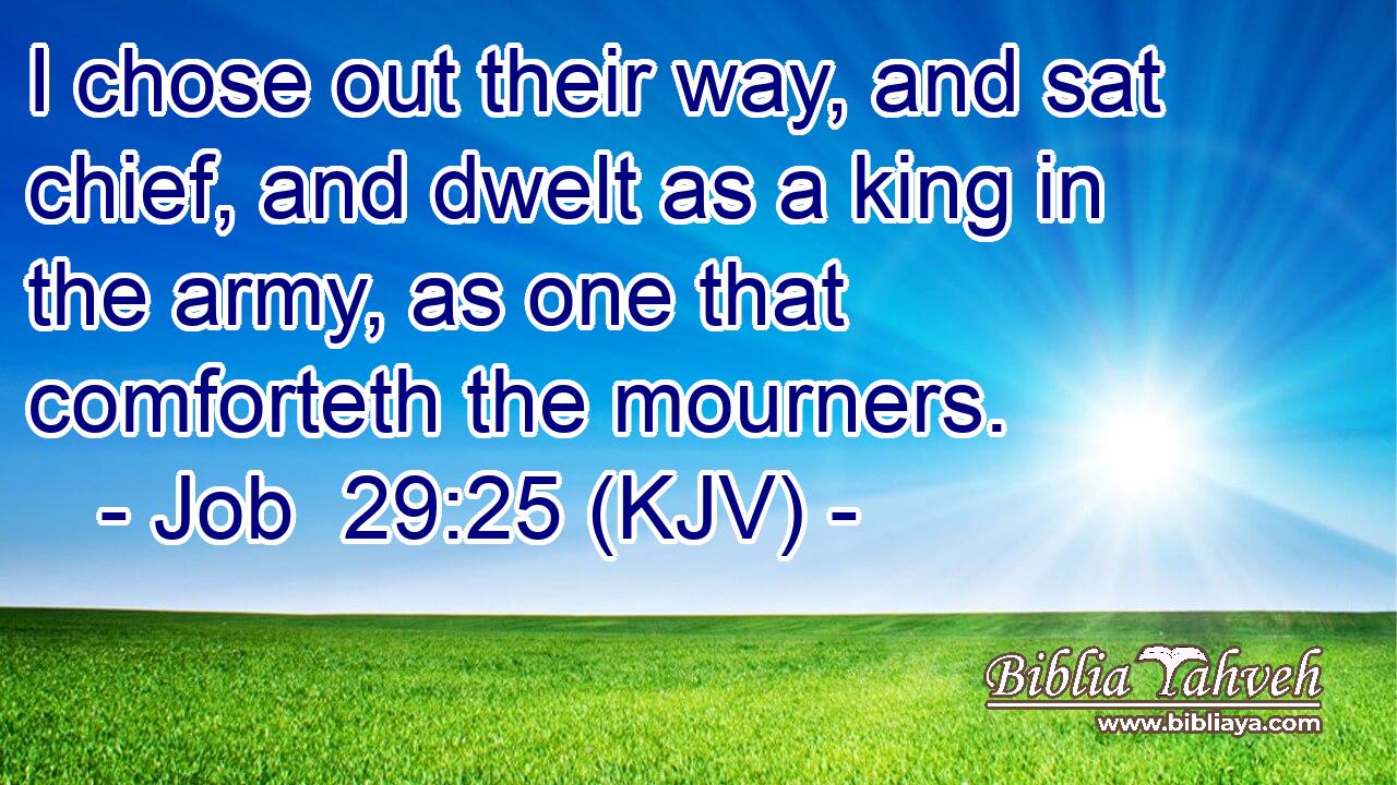 I chose out their way, and sat chief, and dwelt as a king in the army, as one that comforteth the mourners.