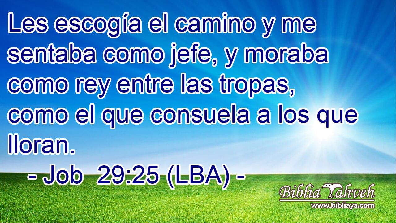 Les escogía el camino y me sentaba como jefe, y moraba como rey entre las tropas, como el que consuela a los que lloran.