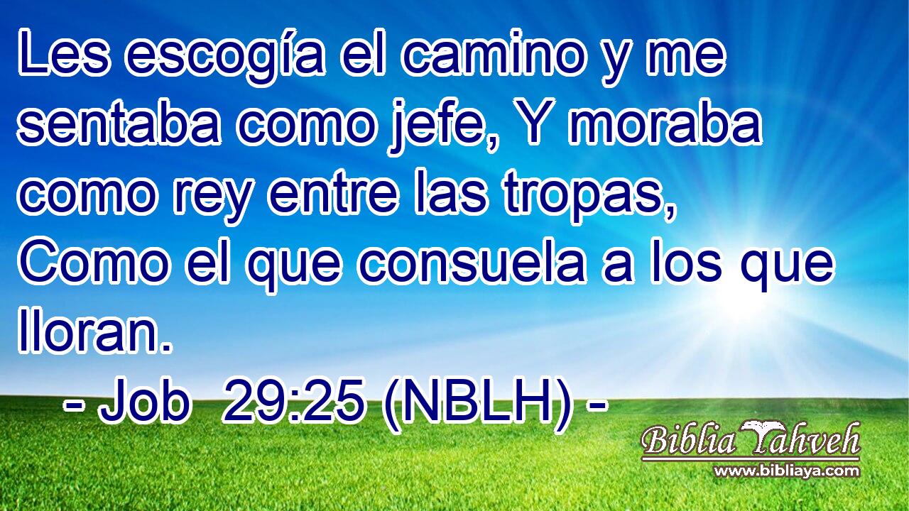  Les escogía el camino y me sentaba como jefe, Y moraba como rey entre las tropas, Como el que consuela a los que lloran. 