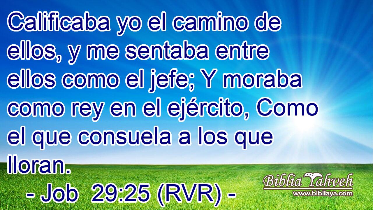 Calificaba yo el camino de ellos, y me sentaba entre ellos como el jefe; Y moraba como rey en el ejército, Como el que consuela a los que lloran.