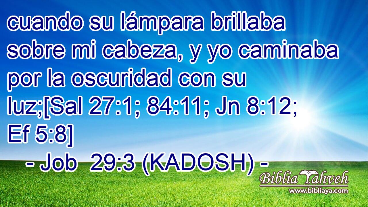  cuando su lámpara brillaba sobre mi cabeza, y yo caminaba por la oscuridad con su luz;[Sal 27:1; 84:11; Jn 8:12; Ef 5:8] 