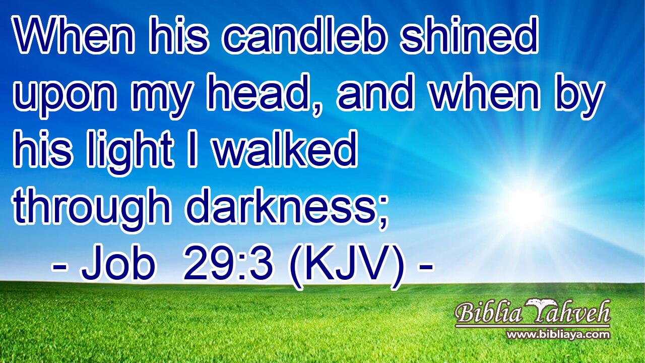 When his candleb shined upon my head, and when by his light I walked through darkness;
