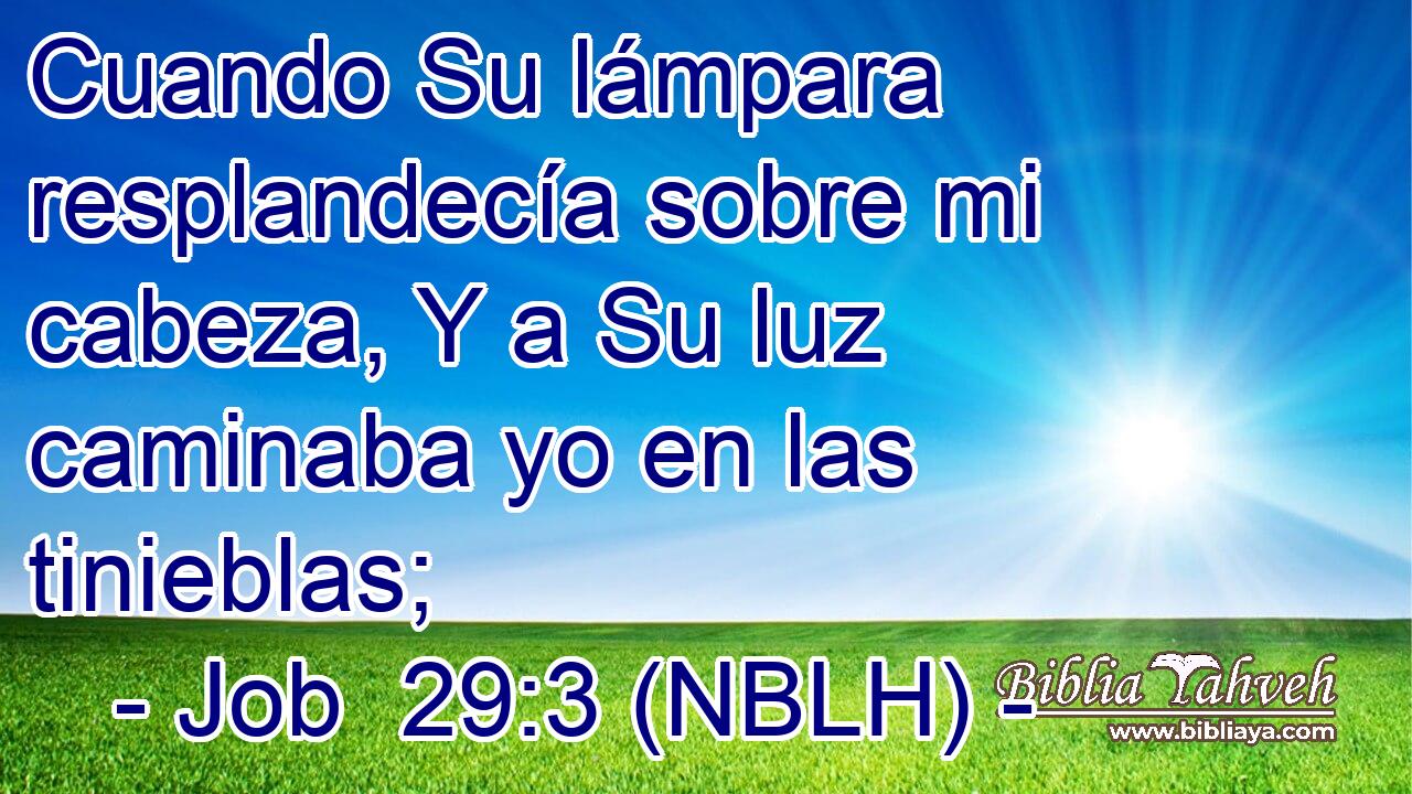  Cuando Su lámpara resplandecía sobre mi cabeza, Y a Su luz caminaba yo en las tinieblas; 