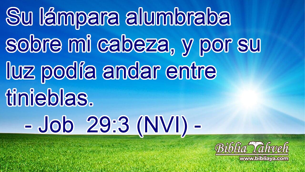  Su lámpara alumbraba sobre mi cabeza, y por su luz podía andar entre tinieblas. 