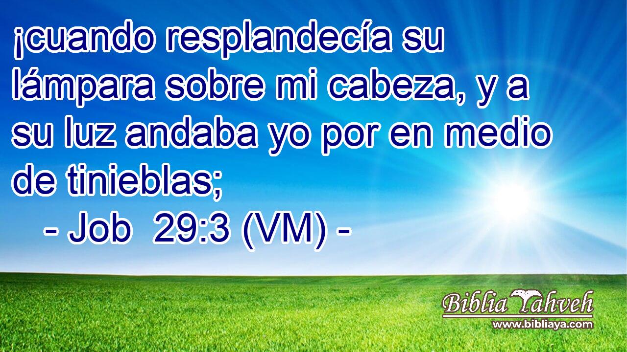  ¡cuando resplandecía su lámpara sobre mi cabeza, y a su luz andaba yo por en medio de tinieblas; 