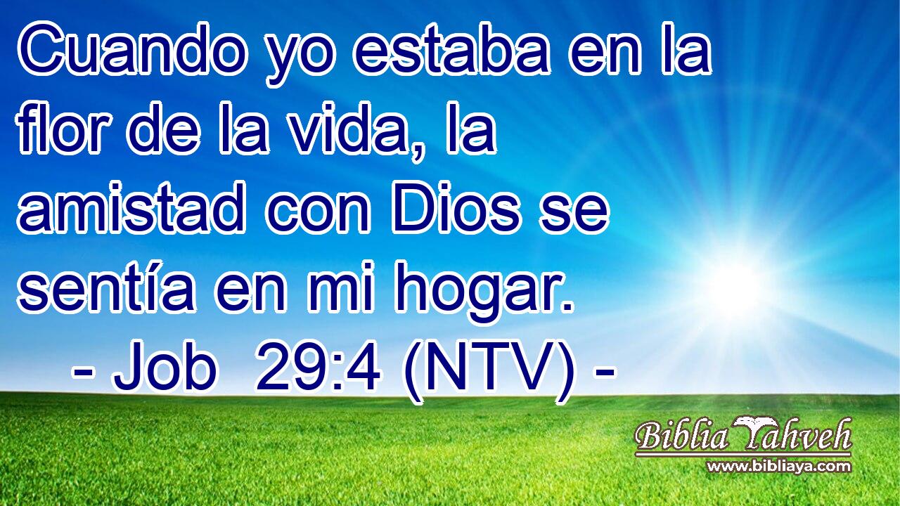 Cuando yo estaba en la flor de la vida, la amistad con Dios se sentía en mi hogar.