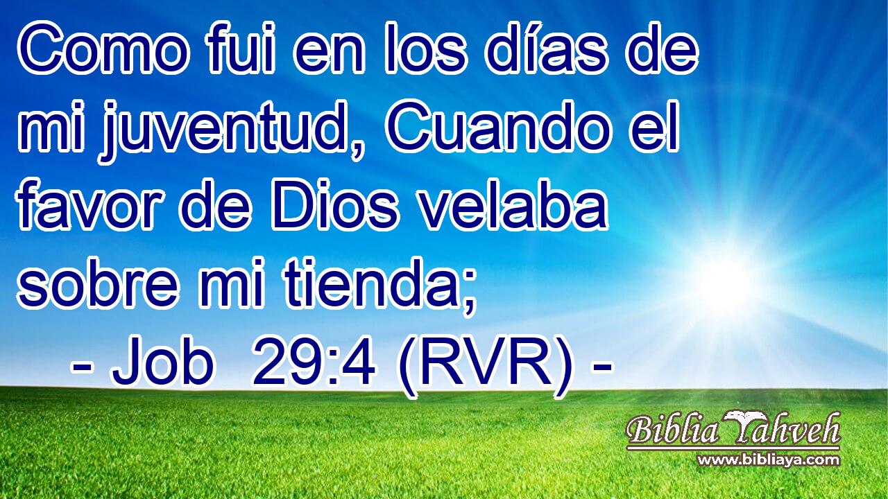Como fui en los días de mi juventud, Cuando el favor de Dios velaba sobre mi tienda;