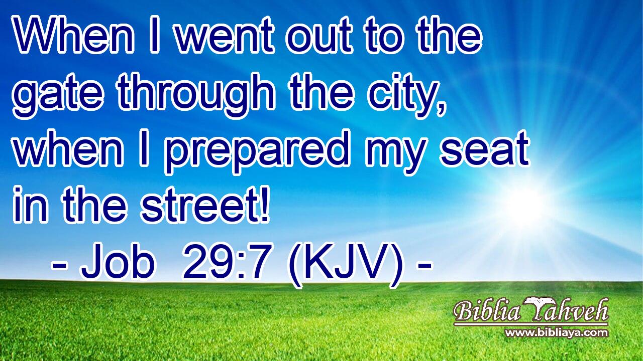 When I went out to the gate through the city, when I prepared my seat in the street!