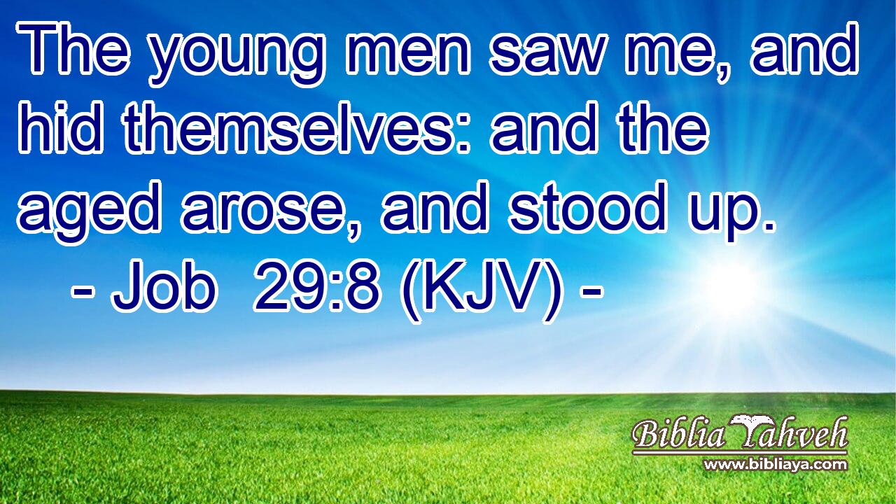 The young men saw me, and hid themselves: and the aged arose, and stood up.