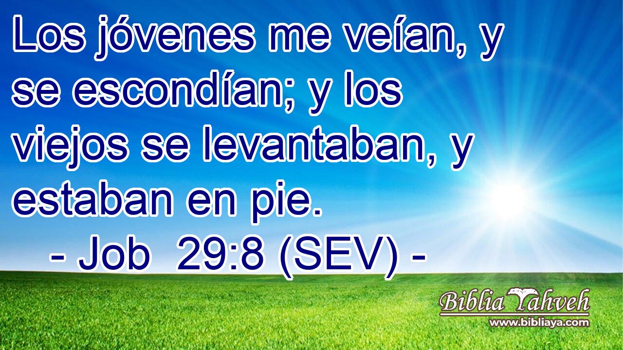 Los jóvenes me veían, y se escondían; y los viejos se levantaban, y estaban en pie.