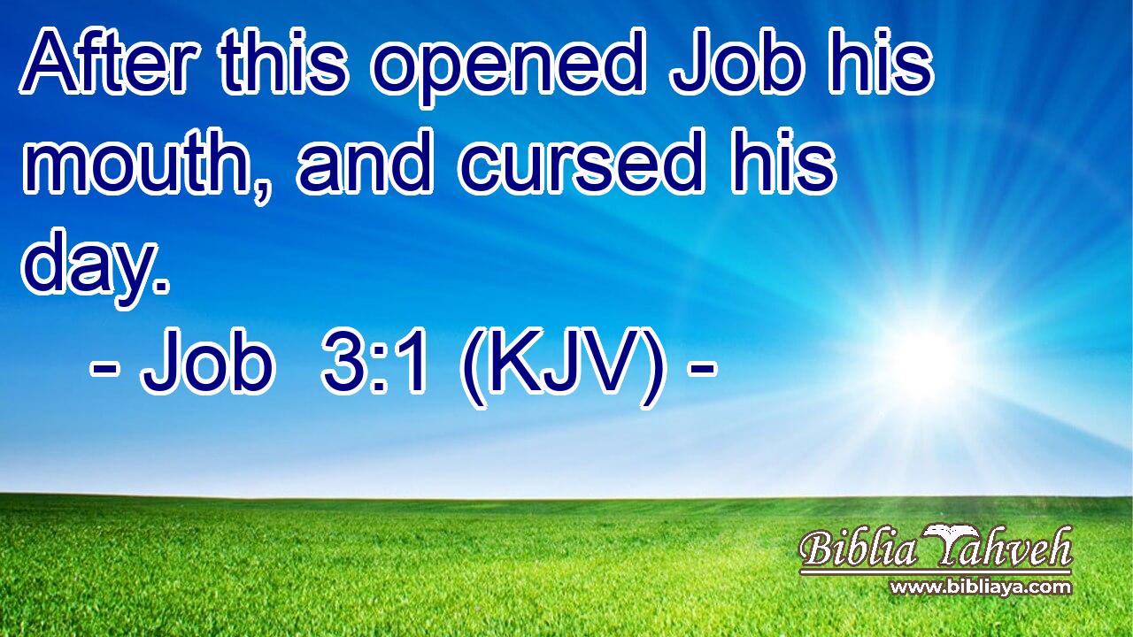 After this opened Job his mouth, and cursed his day.