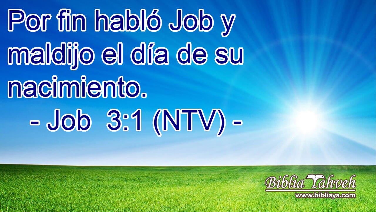 Por fin habló Job y maldijo el día de su nacimiento.