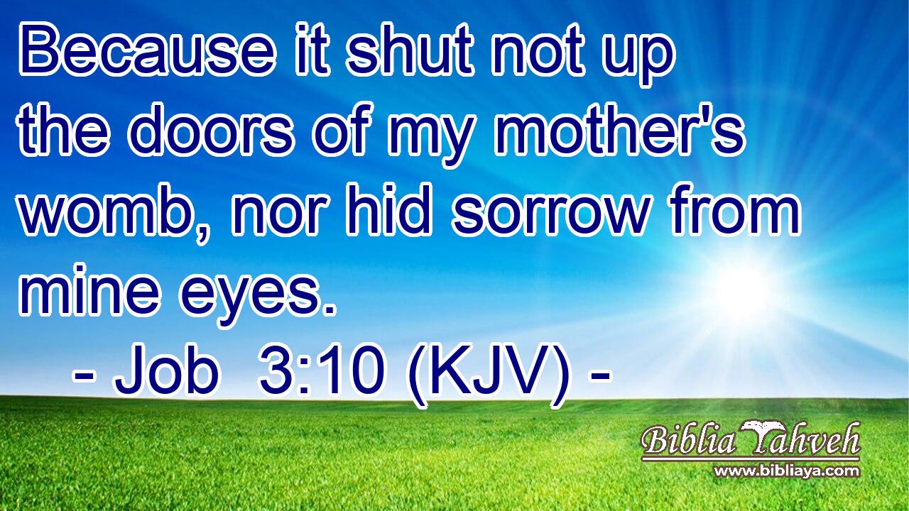 Because it shut not up the doors of my mother's womb, nor hid sorrow from mine eyes.